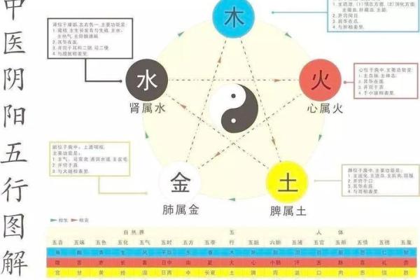 真字在五行中属于什么分类分析