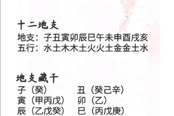 揭秘丙戌五行的特点