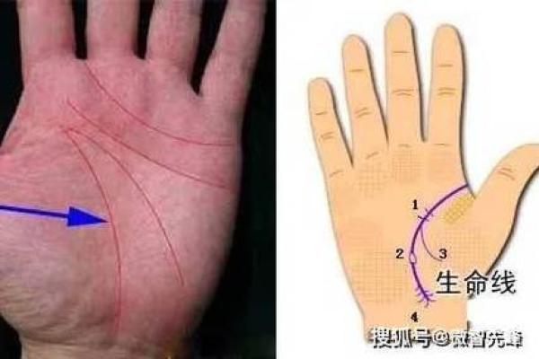 手相凹凸有致，揭秘人生轨迹！