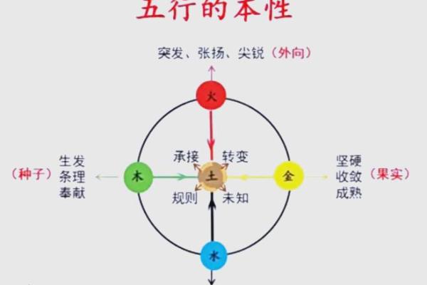 探索立五行属性的深层含义