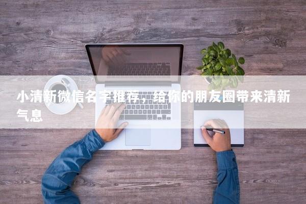 小清新微信名字推荐，给你的朋友圈带来清新气息