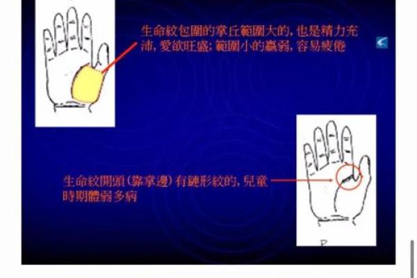 左手手相揭秘，揭秘你的命运密码！
