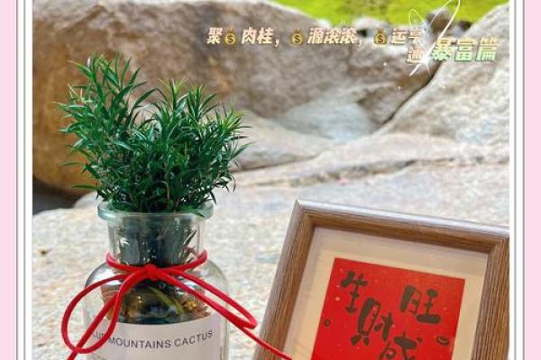 家居风水与健康生活，一步到位的秘密武器