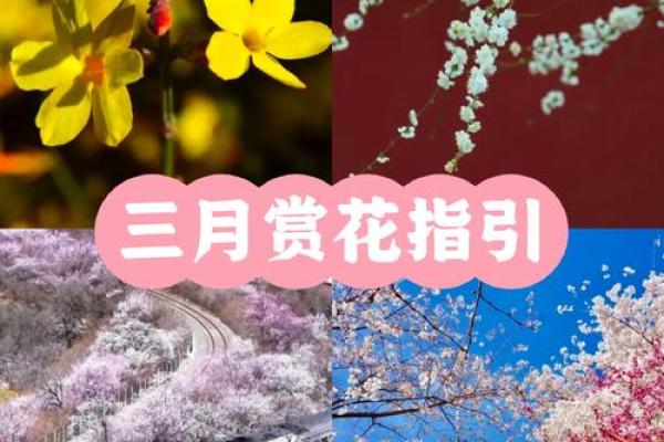春日踏青，赏花祈愿：三月三民俗风情盛宴