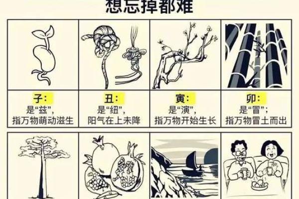 地支中的官位解析：影响命运的关键因素