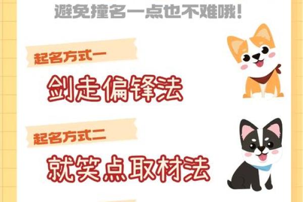 狗狗名字精选：品牌宠物命名大揭秿