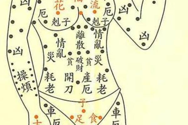 手心长痣，命运之痣：揭秘与皮肤相平的神秘符号