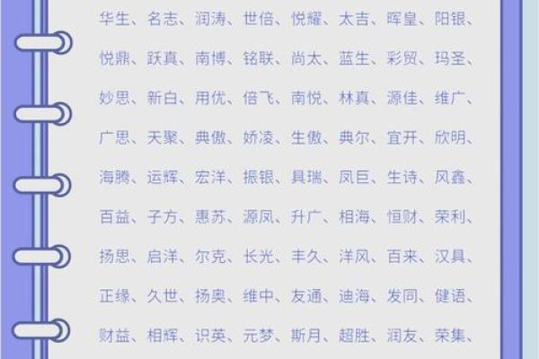 十三画公司命名技巧与创意指南