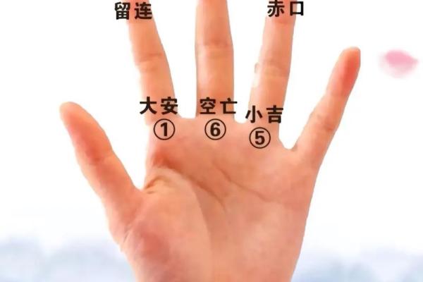 风水学新手必看：一步步解析如何开始学习风水
