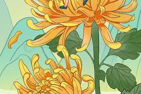 寒露至，菊花展映秋色浓