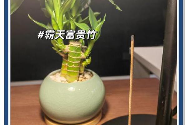 破解办公室风水难题：锐角布局，这样做财运亨通！