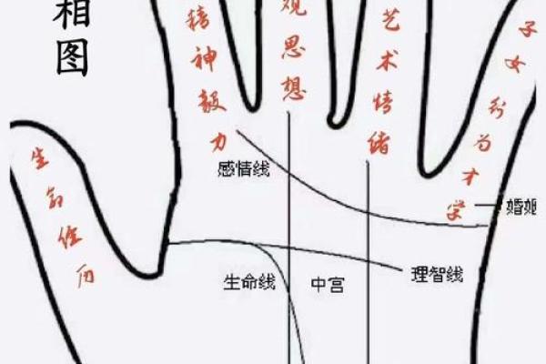 掌中乾坤，坤宫揭秘你的事业财运高峰指南
