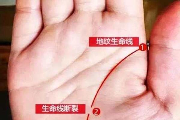 手相奥秘：手指肚透露人生运势
