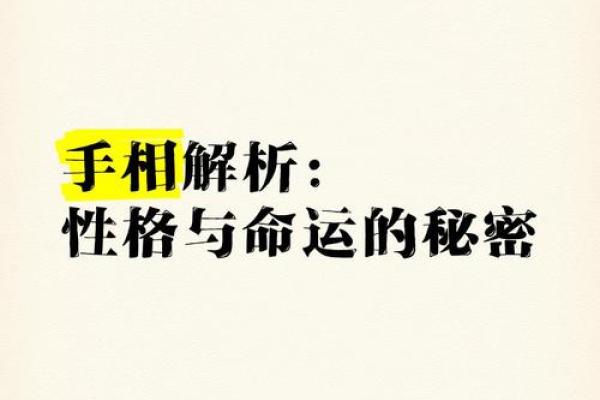手相解读指南：解锁你的运势与性格密码