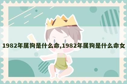 1982年属狗是什么命,1982年属狗是什么命女