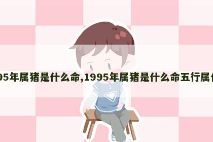 1995年属猪是什么命,1995年属猪是什么命五行属什么
