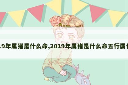 2019年属猪是什么命,2019年属猪是什么命五行属什么