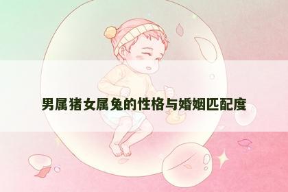 男属猪女属兔的性格与婚姻匹配度