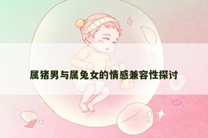 属猪男与属兔女的情感兼容性探讨