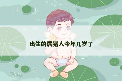 出生的属猪人今年几岁了