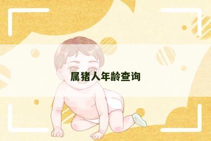 属猪人年龄查询