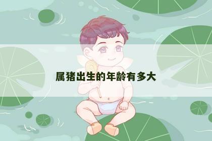 属猪出生的年龄有多大