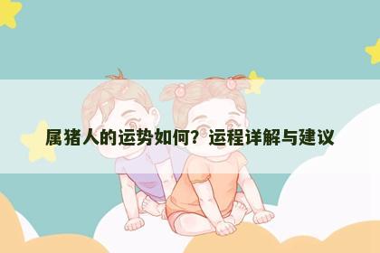 属猪人的运势如何？运程详解与建议