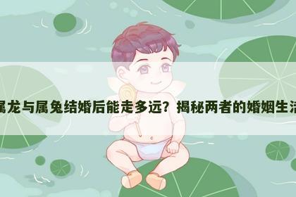 属龙与属兔结婚后能走多远？揭秘两者的婚姻生活