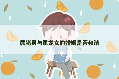 属猪男与属龙女的婚姻是否和谐