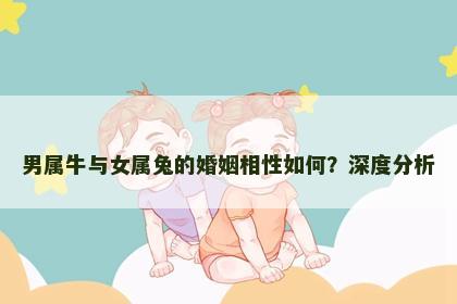 男属牛与女属兔的婚姻相性如何？深度分析