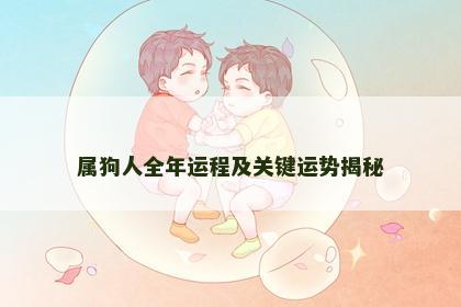 属狗人全年运程及关键运势揭秘