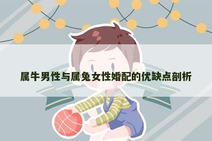 属牛男性与属兔女性婚配的优缺点剖析