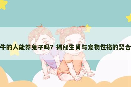 属牛的人能养兔子吗？揭秘生肖与宠物性格的契合度