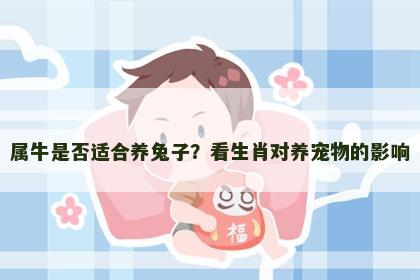 属牛是否适合养兔子？看生肖对养宠物的影响