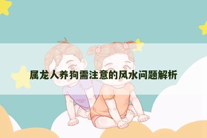 属龙人养狗需注意的风水问题解析