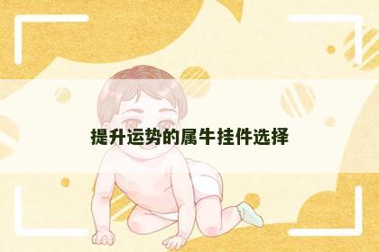 提升运势的属牛挂件选择
