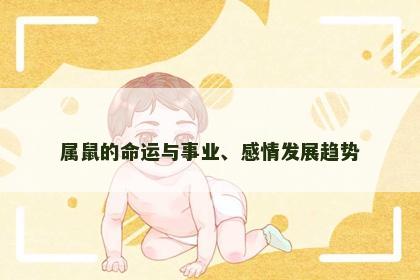 属鼠的命运与事业、感情发展趋势