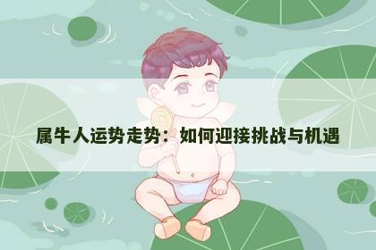 属牛人运势走势：如何迎接挑战与机遇