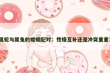 属蛇与属兔的婚姻配对：性格互补还是冲突重重？