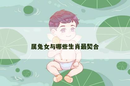 属兔女与哪些生肖最契合