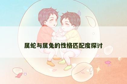 属蛇与属兔的性格匹配度探讨