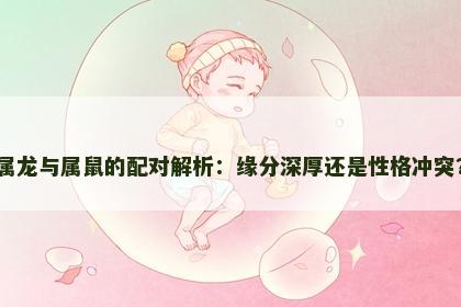 属龙与属鼠的配对解析：缘分深厚还是性格冲突？